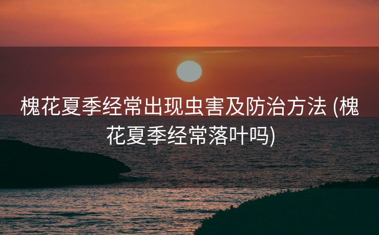 槐花夏季经常出现虫害及防治方法 (槐花夏季经常落叶吗)