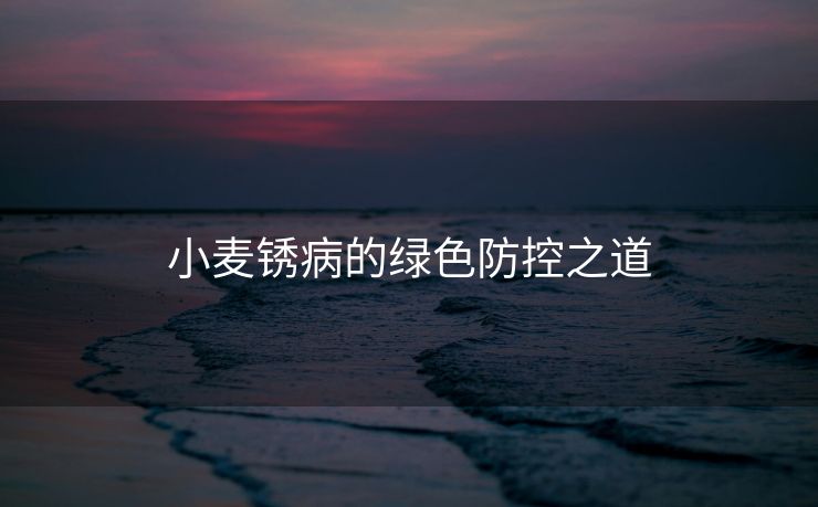 小麦锈病的绿色防控之道