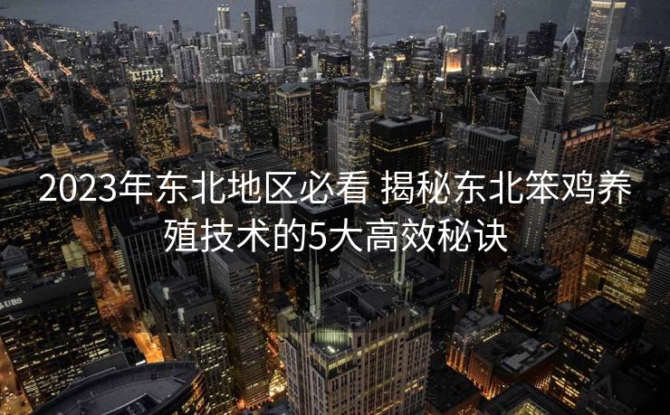 2023年东北地区必看 揭秘东北笨鸡养殖技术的5大高效秘诀 2023年东北地区必看 揭秘东北笨鸡养殖技术的5大高效秘诀
