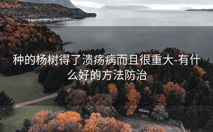 种的杨树得了溃疡病而且很重大-有什么好的方法防治