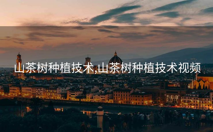 山茶树种植技术,山茶树种植技术视频