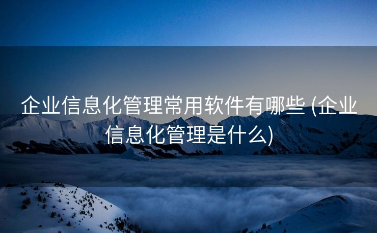 企业信息化管理常用软件有哪些 (企业信息化管理是什么)