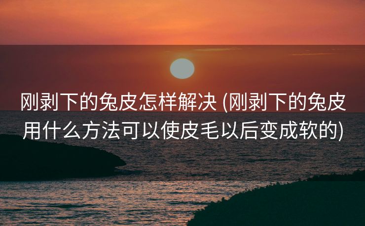 刚剥下的兔皮怎样解决 (刚剥下的兔皮用什么方法可以使皮毛以后变成软的)