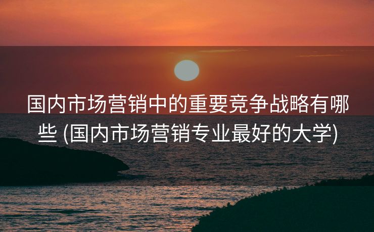 国内市场营销中的重要竞争战略有哪些 (国内市场营销专业最好的大学)