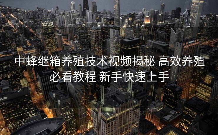 中蜂继箱养殖技术视频揭秘 高效养殖必看教程 新手快速上手