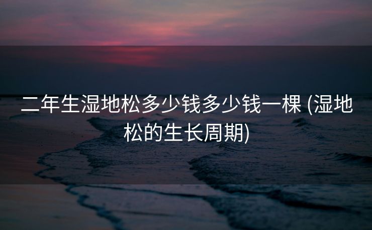 二年生湿地松多少钱多少钱一棵 (湿地松的生长周期)