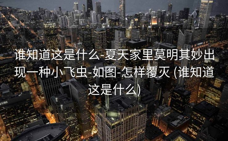 谁知道这是什么-夏天家里莫明其妙出现一种小飞虫-如图-怎样覆灭 (谁知道这是什么)