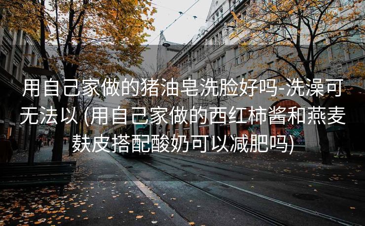 用自己家做的猪油皂洗脸好吗-洗澡可无法以 (用自己家做的西红柿酱和燕麦麸皮搭配酸奶可以减肥吗)