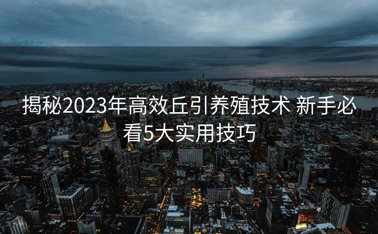 揭秘2023年高效丘引养殖技术 新手必看5大实用技巧