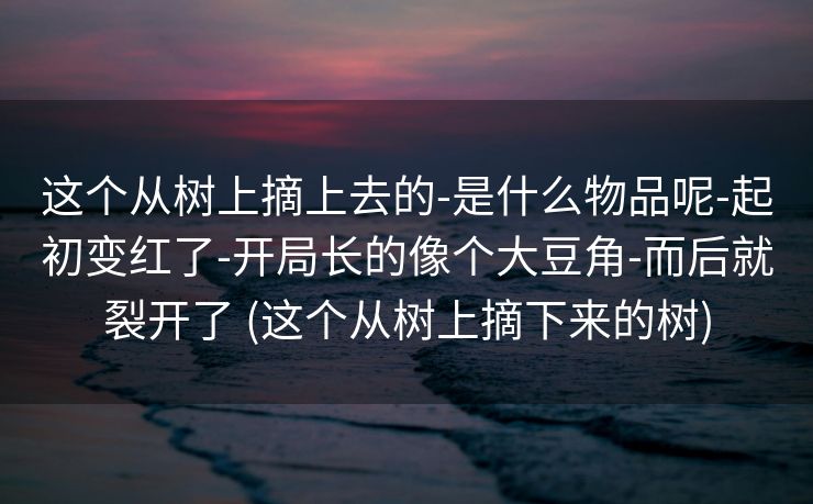 这个从树上摘上去的-是什么物品呢-起初变红了-开局长的像个大豆角-而后就裂开了 (这个从树上摘下来的树)