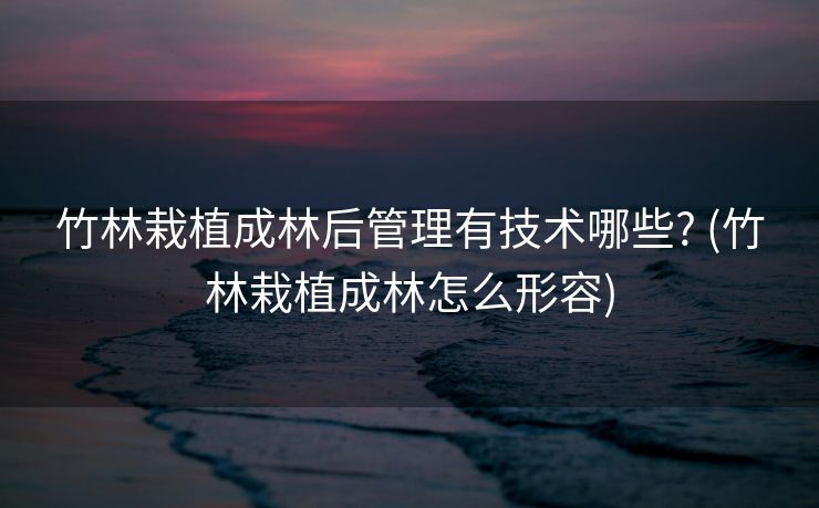 竹林栽植成林后管理有技术哪些? (竹林栽植成林怎么形容)