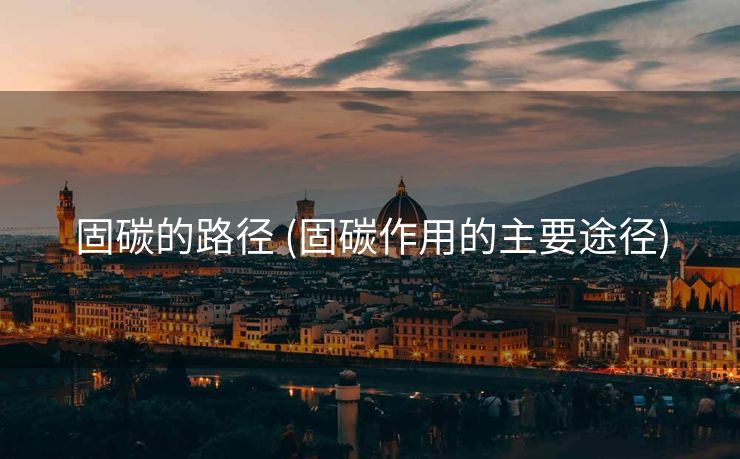 固碳的路径 (固碳作用的主要途径)