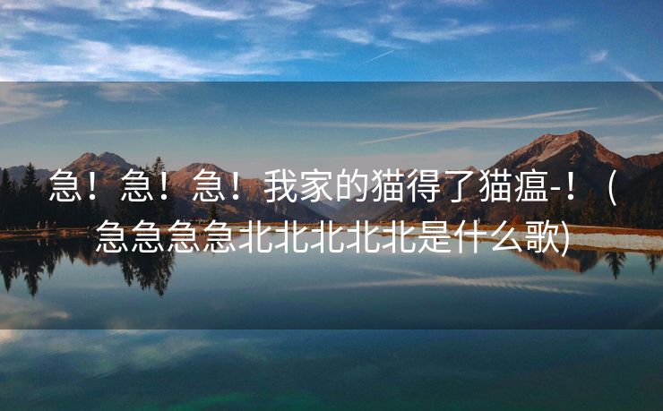 急！急！急！我家的猫得了猫瘟-！ (急急急急北北北北北是什么歌)
