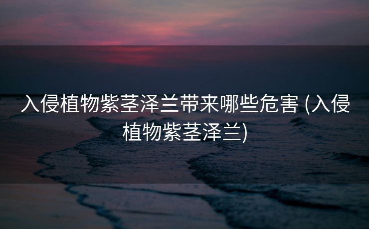 入侵植物紫茎泽兰带来哪些危害 (入侵植物紫茎泽兰)