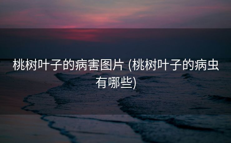 桃树叶子的病害图片 (桃树叶子的病虫有哪些)