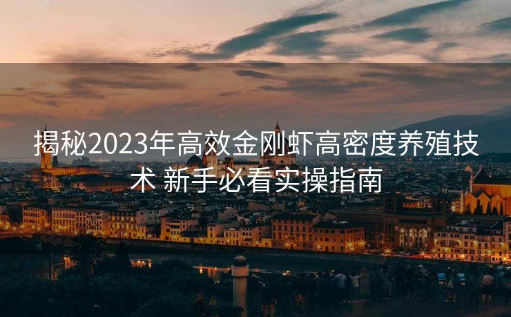 揭秘2023年高效金刚虾高密度养殖技术 新手必看实操指南