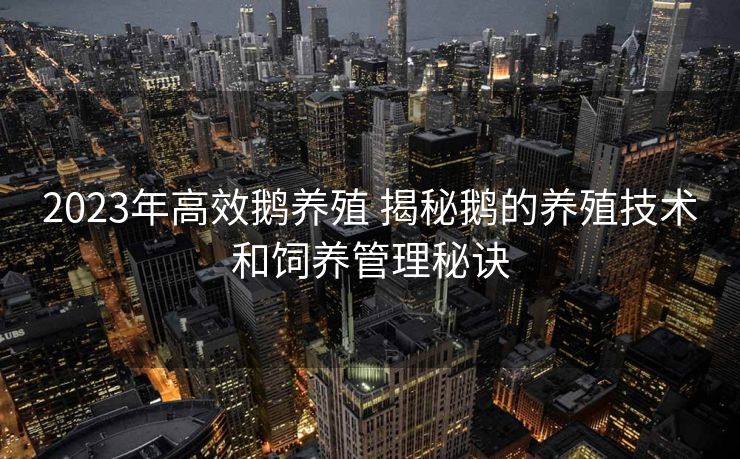 2023年高效鹅养殖 揭秘鹅的养殖技术和饲养管理秘诀