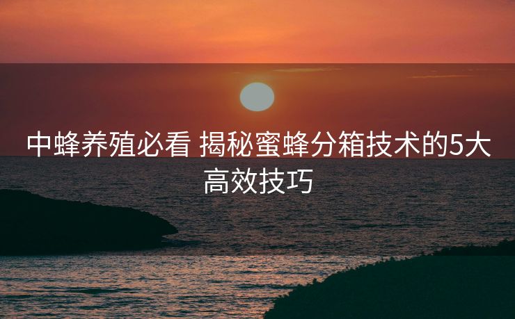 中蜂养殖必看 揭秘蜜蜂分箱技术的5大高效技巧 中蜂养殖必看 揭秘蜜蜂分箱技术的5大高效技巧