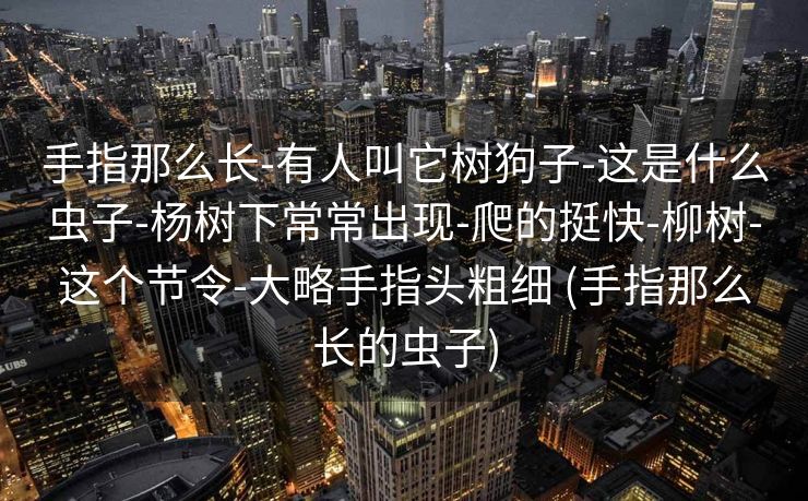 手指那么长-有人叫它树狗子-这是什么虫子-杨树下常常出现-爬的挺快-柳树-这个节令-大略手指头粗细 (手指那么长的虫子)