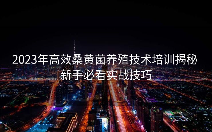 2023年高效桑黄菌养殖技术培训揭秘 新手必看实战技巧