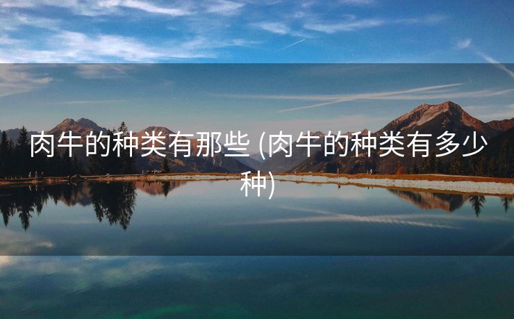 肉牛的种类有那些 (肉牛的种类有多少种)