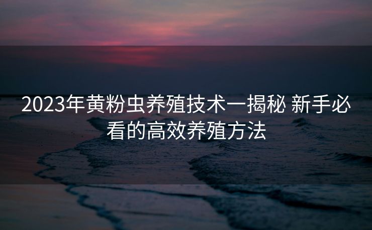 2023年黄粉虫养殖技术一揭秘 新手必看的高效养殖方法