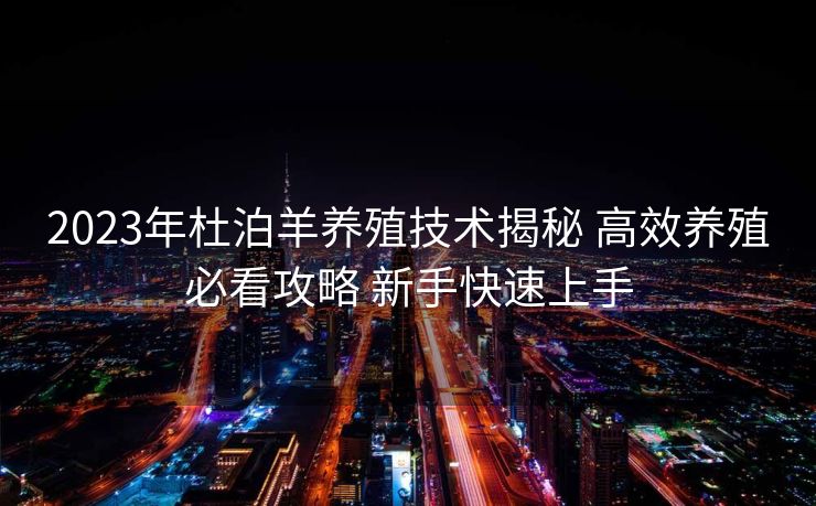 2023年杜泊羊养殖技术揭秘 高效养殖必看攻略 新手快速上手