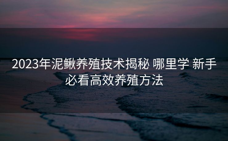 2023年泥鳅养殖技术揭秘 哪里学 新手必看高效养殖方法