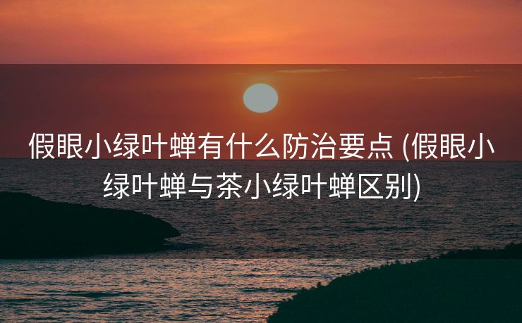 假眼小绿叶蝉有什么防治要点 (假眼小绿叶蝉与茶小绿叶蝉区别)