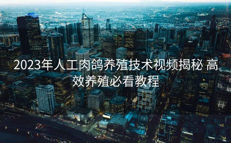 2023年人工肉鸽养殖技术视频揭秘 高效养殖必看教程