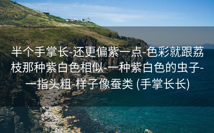 半个手掌长-还更偏紫一点-色彩就跟荔枝那种紫白色相似-一种紫白色的虫子-一指头粗-样子像蚕类 (手掌长长)