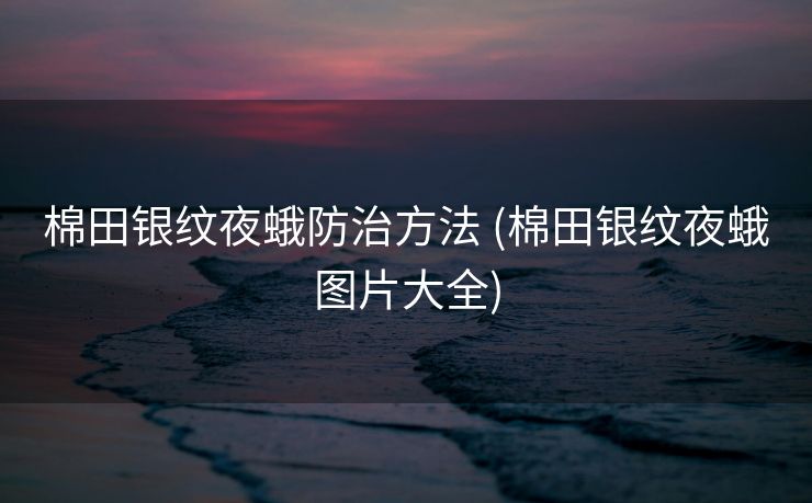 棉田银纹夜蛾防治方法 (棉田银纹夜蛾图片大全)