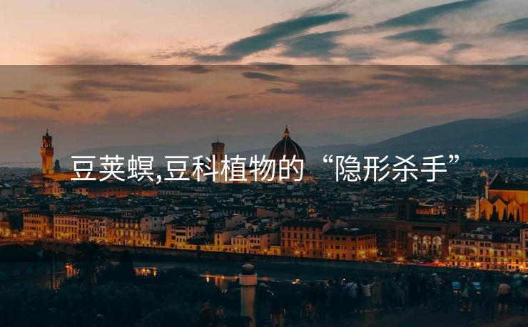 豆荚螟,豆科植物的“隐形杀手”