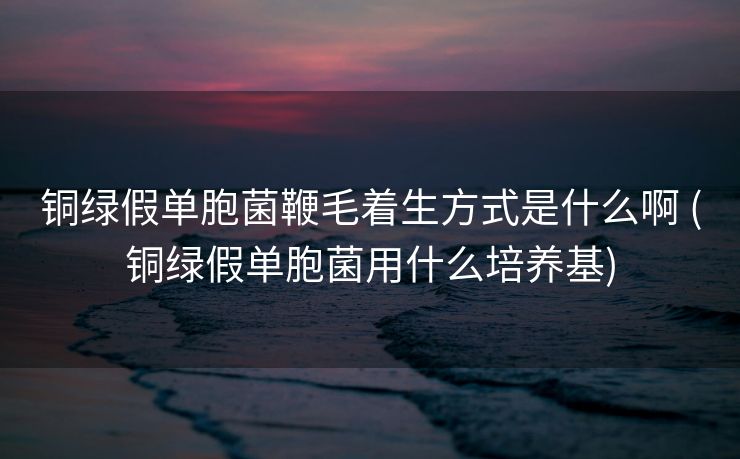 铜绿假单胞菌鞭毛着生方式是什么啊 (铜绿假单胞菌用什么培养基)