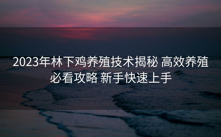 2023年林下鸡养殖技术揭秘 高效养殖必看攻略 新手快速上手