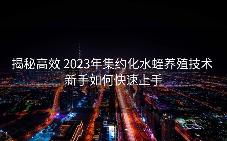 揭秘高效 2023年集约化水蛭养殖技术 新手如何快速上手
