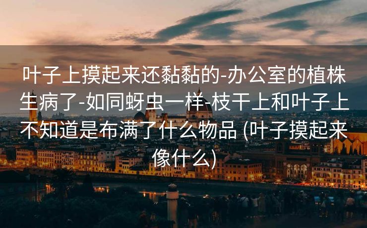 叶子上摸起来还黏黏的-办公室的植株生病了-如同蚜虫一样-枝干上和叶子上不知道是布满了什么物品 (叶子摸起来像什么)