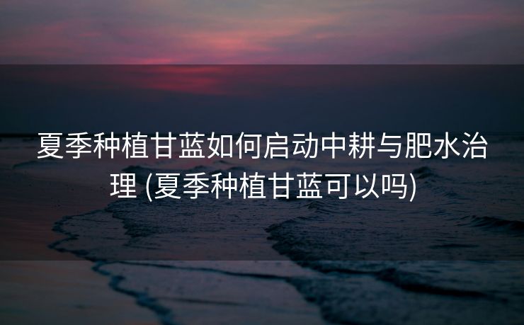 夏季种植甘蓝如何启动中耕与肥水治理 (夏季种植甘蓝可以吗)