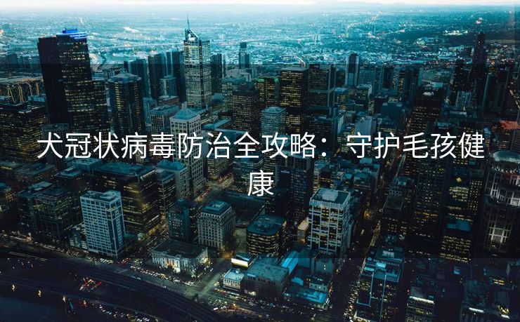 犬冠状病毒防治全攻略：守护毛孩健康