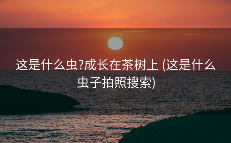 这是什么虫?成长在茶树上 (这是什么虫子拍照搜索)