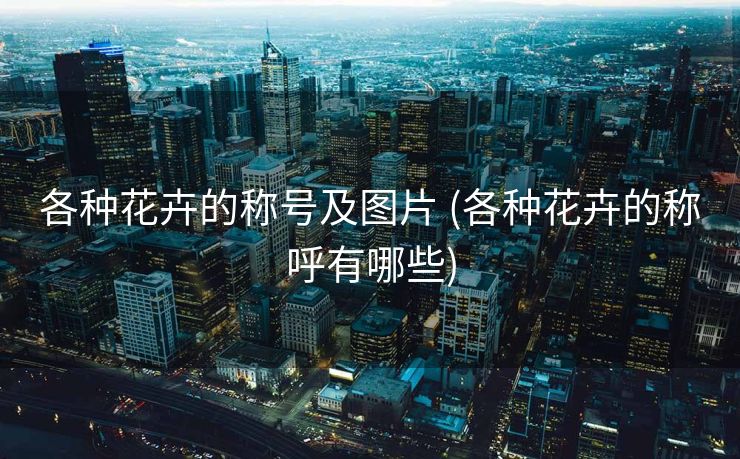 各种花卉的称号及图片 (各种花卉的称呼有哪些)