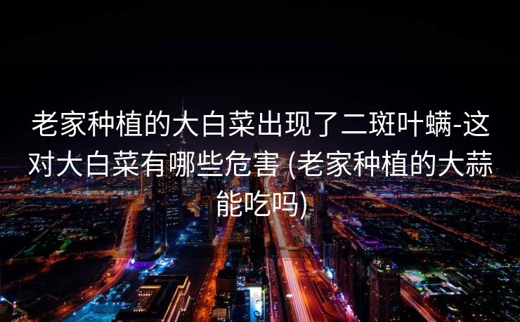 老家种植的大白菜出现了二斑叶螨-这对大白菜有哪些危害 (老家种植的大蒜能吃吗)