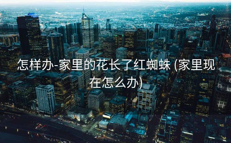 怎样办-家里的花长了红蜘蛛 (家里现在怎么办)