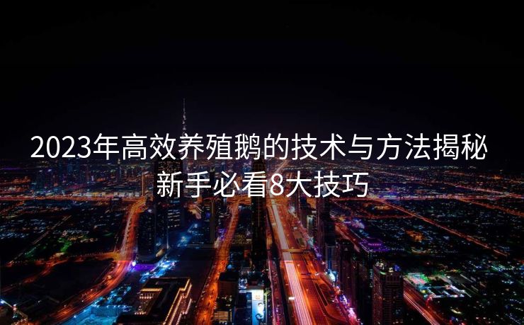 2023年高效养殖鹅的技术与方法揭秘 新手必看8大技巧