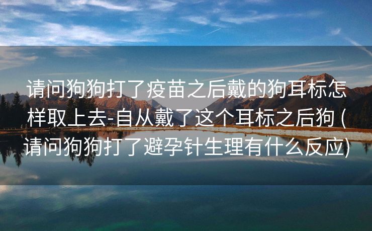 请问狗狗打了疫苗之后戴的狗耳标怎样取上去-自从戴了这个耳标之后狗 (请问狗狗打了避孕针生理有什么反应)