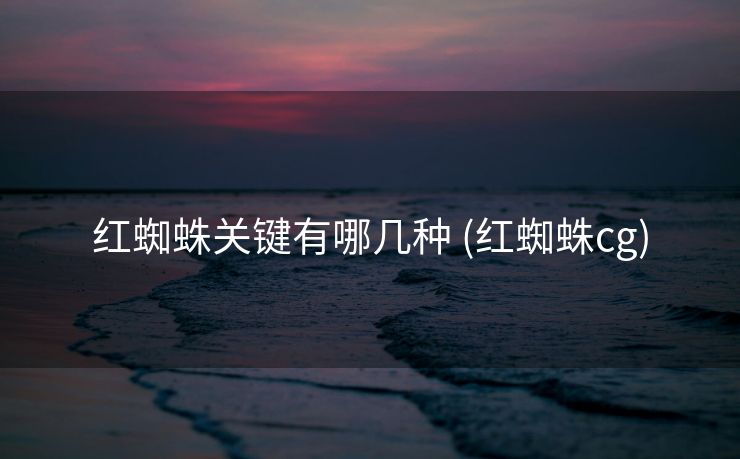 红蜘蛛关键有哪几种 (红蜘蛛cg)