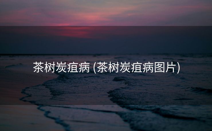 茶树炭疽病 (茶树炭疽病图片)