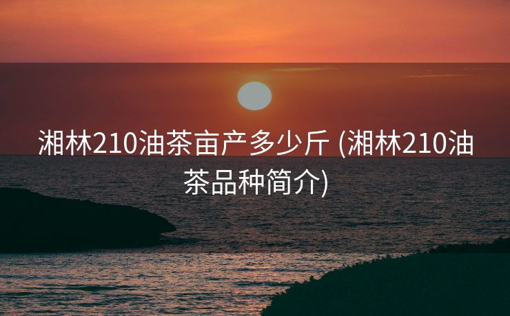 湘林210油茶亩产多少斤 (湘林210油茶品种简介)