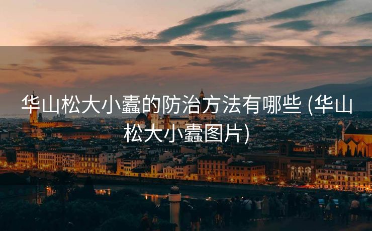 华山松大小蠹的防治方法有哪些 (华山松大小蠹图片)