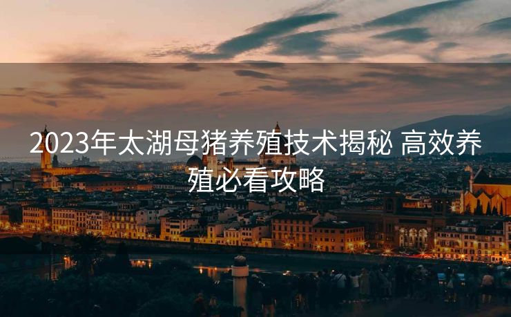 2023年太湖母猪养殖技术揭秘 高效养殖必看攻略